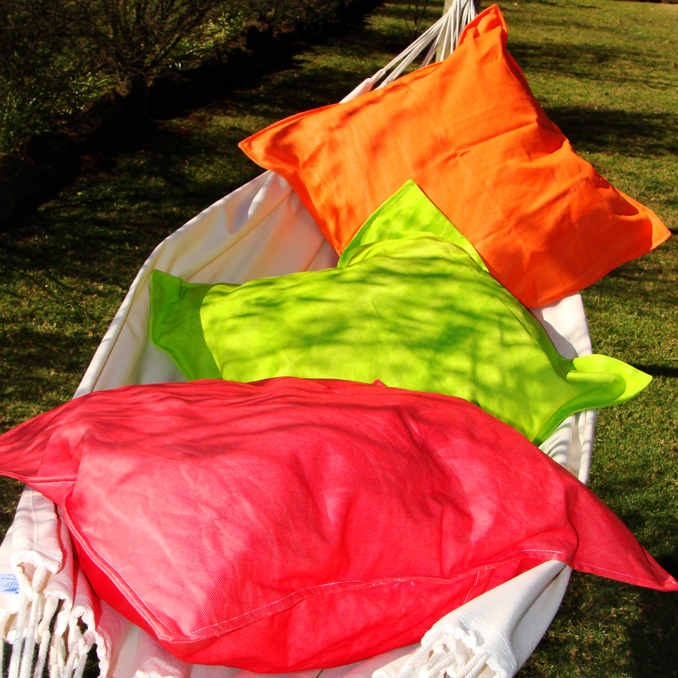 Cushion1